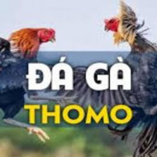 dagathomoac profile image