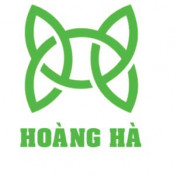 hoanghasp profile image