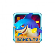 ban-ca-xeng profile image