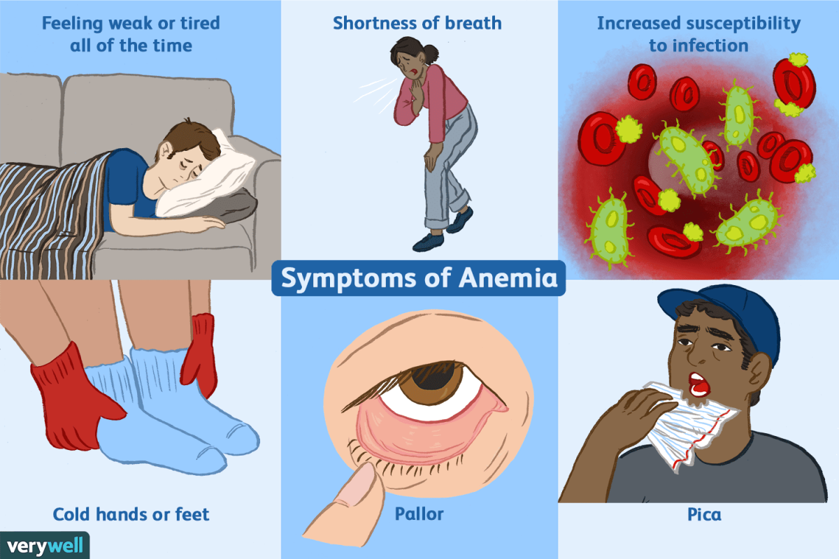 Anemia Causes And How You Can Avoid It