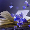 Farah Maqsood profile image