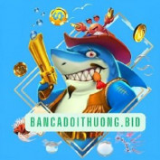 Bancadoithuong Bid profile image