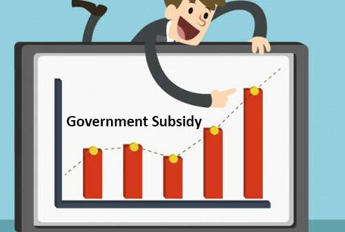 Understanding the Economics behind Government Subsidies
