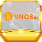 vnq8ltd profile image