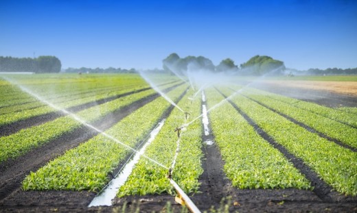 Effective Water Management Strategies for Agricultural Enterprises Effective Water Management Strategies for Agricultural Enterprises