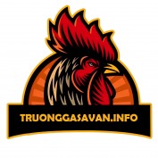 truonggasavaninfo profile image