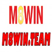 m8winteam profile image
