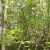 Our beautiful wooded paradise. Our beautiful wooded paradise.