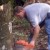 One man and a chainsaw. One man and a chainsaw.