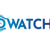 Donghorep profile image