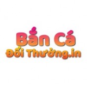 banca9396 profile image