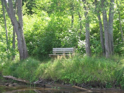 Bench on West Bank of River