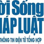 dspl2023 profile image