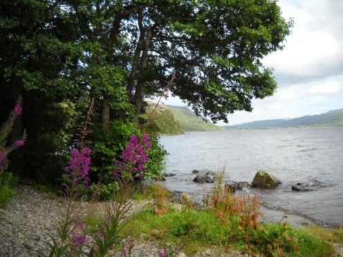 A view not far from where we stayed at Lannoch Rannoch - beautiful heather everywhere - it usually blossoms late August and September. Do not copy - photographer: Ruth Elayne Kongaika