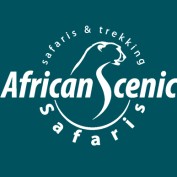 tanzaniasafaripackages profile image