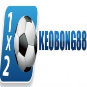 keobong88cc profile image