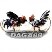 Daga888live profile image