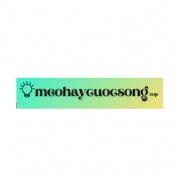 meohaycuocsongtop profile image