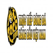 tinnong24hsocolive profile image