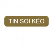 tinsoikeosite profile image