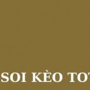 soikeotottenhamsite profile image