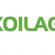 psvidlernet profile image