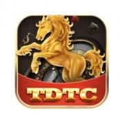 tdtcclubcom profile image