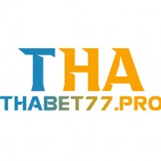 thabet77pro profile image