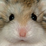 Kym Sutherland profile image
