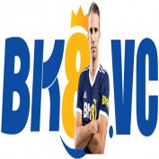BK888bvc profile image