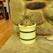 Brian Kersten Wisconsin profile image