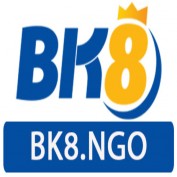 bk8ngo profile image