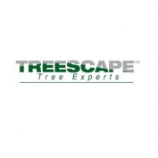 treescapenc2 profile image