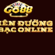 go88observer profile image