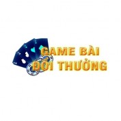 gamebaidoithuongam profile image