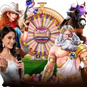 Beb4d Platform profile image