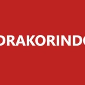 Drakorindocity profile image