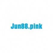 jun88pink profile image