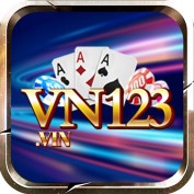 vn123vin profile image