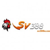 sv388ucom profile image