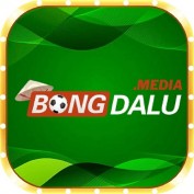 bongdalumedia profile image