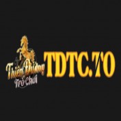 tdtcto profile image