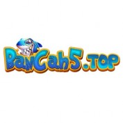 bancah5top profile image