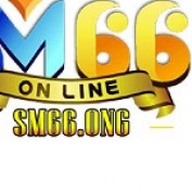 sm66ong profile image