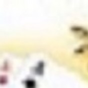 taigame88com profile image