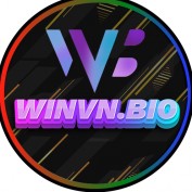 winvnbio profile image