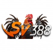 ttdagasv3888 profile image
