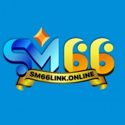 sm66linkonline profile image