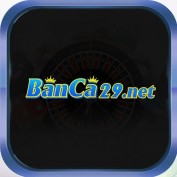 banca29net profile image