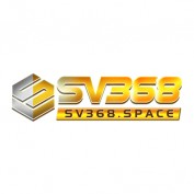 sv368space profile image